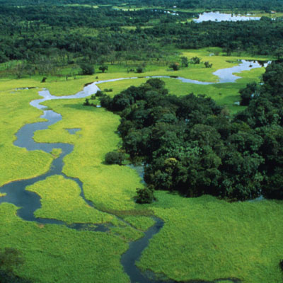Amazzonia: la deforestazione è in calo