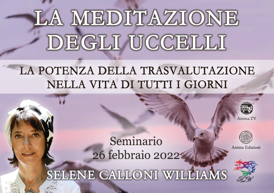La meditazione degli uccelli – Seminario con Selene Calloni Williams (Diretta streaming) @ Diretta streaming